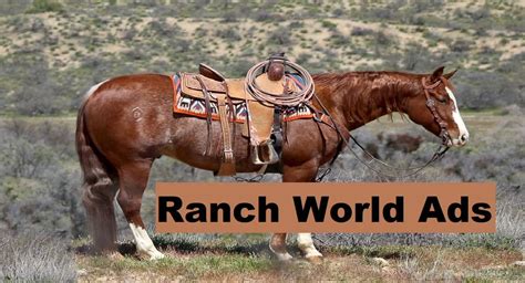 Ranch world adds - Buttermilk, the main ingredient in ranch dressing, can be stored in the freezer. Ranch dressing is best refrigerated. The dressing stays fresh for one to two months in the refriger...